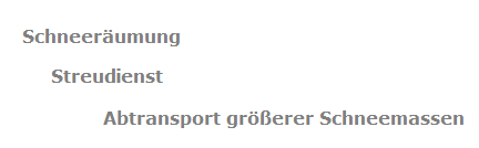 Leistungen Winterdienst